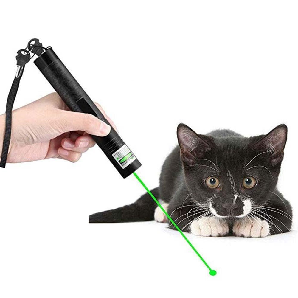 Long Range Laser Pointer Pen